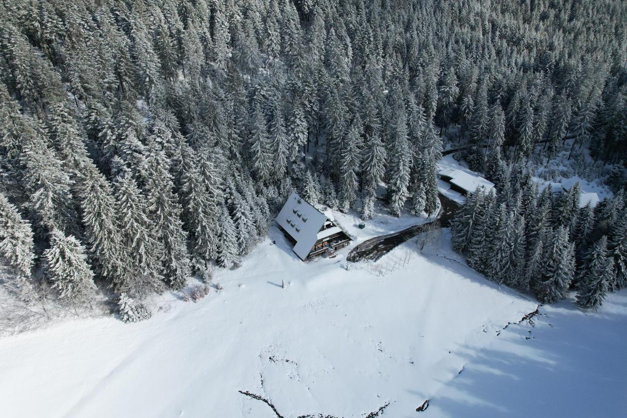 Edelfuchs-Lodge Bühlertal Екстериор снимка